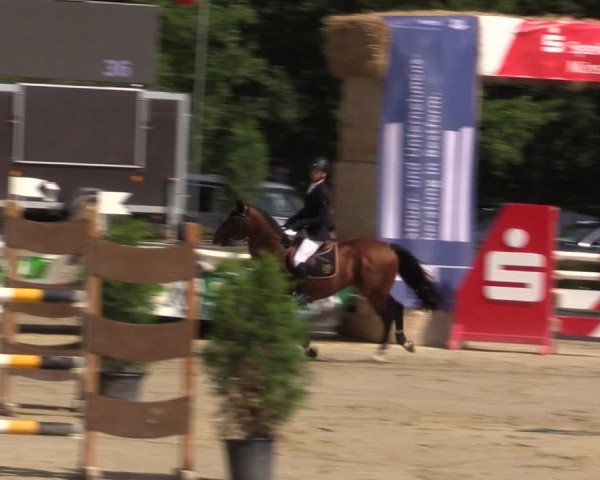 Reitturnier Münster-Albachten 2018