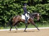 dressage horse Lady Louisa S (Rhinelander, 2012, from Lord Carnaby)