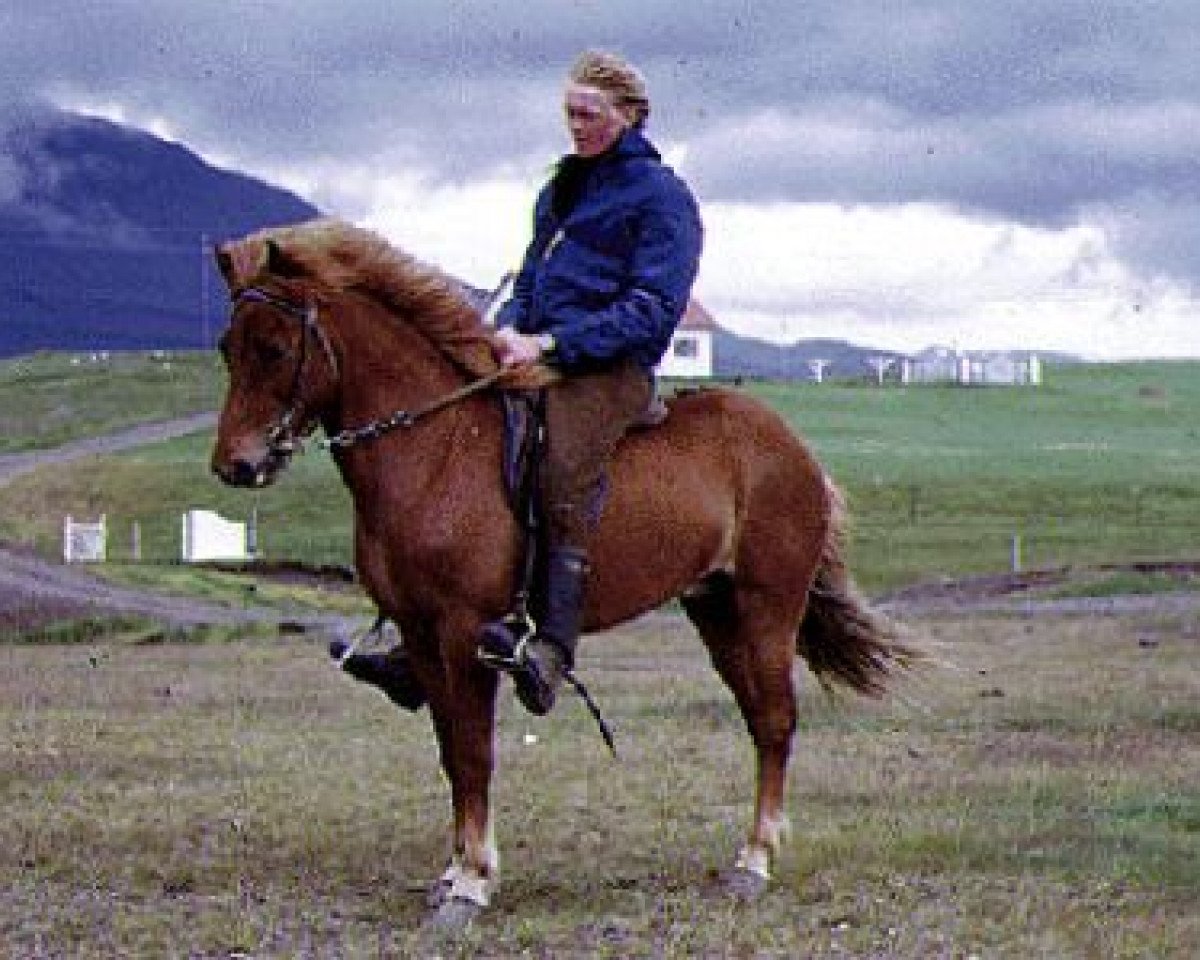 broodmare Elding frá Hlöðutúni (Iceland Horse, 1965, from Hörður frá Kolkuósi)