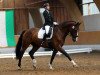 dressage horse Fürst Frederick B (Hanoverian, 2007, from Fürst Grandios)