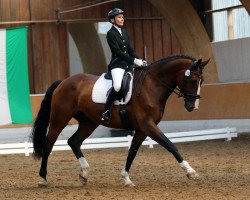 dressage horse Fürst Frederick B (Hanoverian, 2007, from Fürst Grandios)