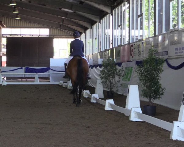 Reitturnier Münster-Albachten 2018