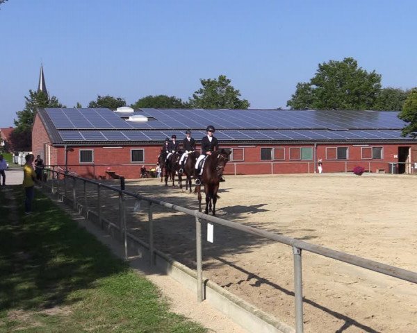 Reitturnier Ascheberg 2021