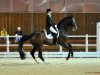 dressage horse Debut Dallas (Danish Warmblood, 1999, from Don Schufro)