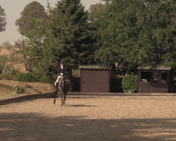 Reitturnier Datteln 2018