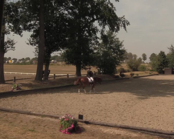 Reitturnier Datteln 2018