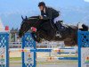 jumper Tuilleadh Uisce Beatha (Irish Sport Horse, 2011, from Ustinov)