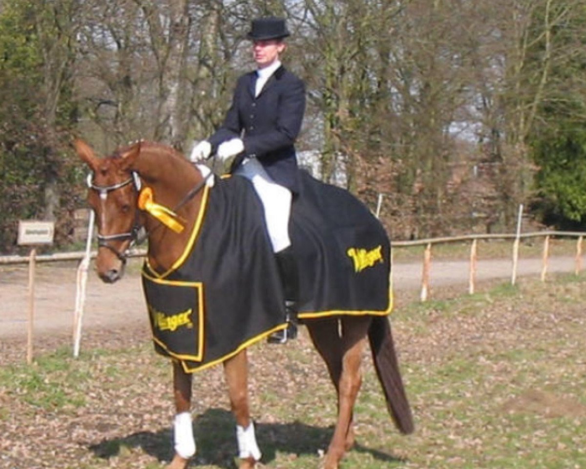 broodmare Rosa-Lee (Hanoverian, 2001, from Rosentau)