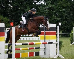 jumper Viby Sunzeeker xx (Thoroughbred, 2009, from Songline xx)