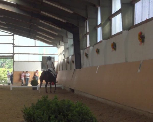 Reitturnier Datteln 2018