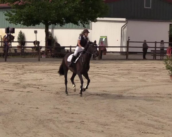 Reitturnier Hamburg-Klein Offenseth/Hell-Stallion-Stud 2018