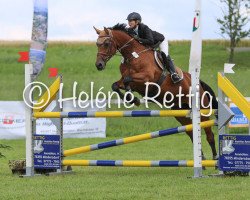 jumper Con Pigalle (Oldenburg show jumper, 2007, from Contender)