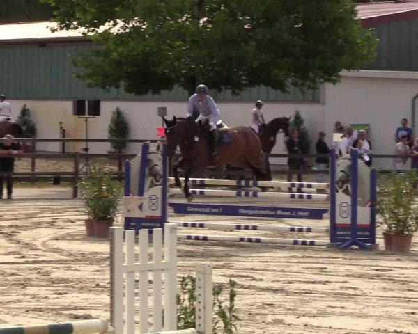 Reitturnier Hamburg-Klein Offenseth/Hell-Stallion-Stud 2018