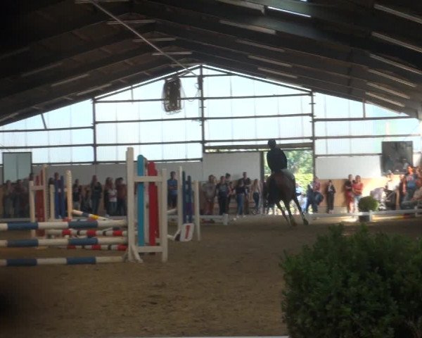 Reitturnier Datteln 2018