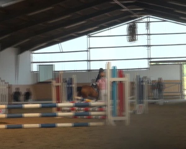 Reitturnier Datteln 2018