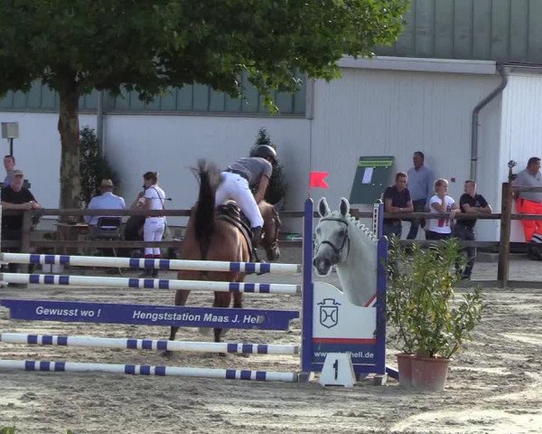 Reitturnier Hamburg-Klein Offenseth/Hell-Stallion-Stud 2018