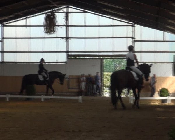 Reitturnier Datteln 2018
