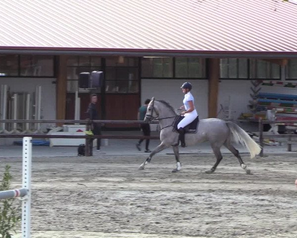 Reitturnier Hamburg-Klein Offenseth/Hell-Stallion-Stud 2018