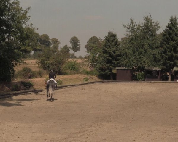 Reitturnier Datteln 2018