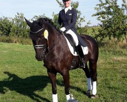 dressage horse Hija de La Luna R (Hanoverian, 2006, from Hohenstein I)