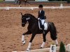 dressage horse Sir Snowden (Hanoverian, 2011, from St. Moritz Junior)