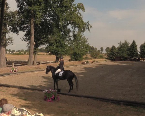 Reitturnier Datteln 2018