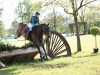 dressage horse Grandmaree (Hanoverian, 2005, from Garant)