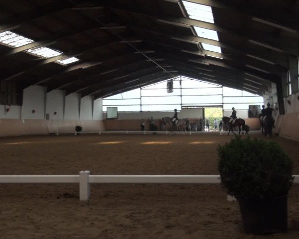 Reitturnier Datteln 2018