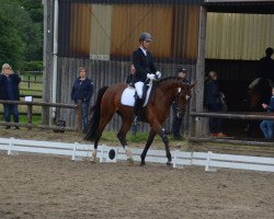 dressage horse Darina T (Westphalian, 2012, from Desiderius L)