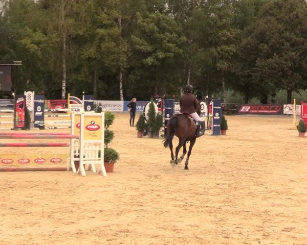Reitturnier Duderstadt 2018
