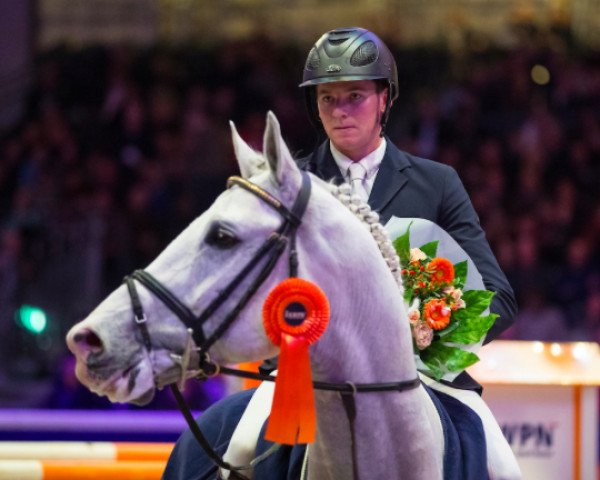 stallion Zacharov Tn (KWPN (Royal Dutch Sporthorse), 2004, from Clinton)