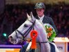 stallion Zacharov Tn (KWPN (Royal Dutch Sporthorse), 2004, from Clinton)