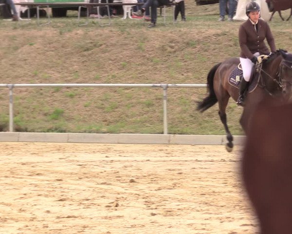 Reitturnier Duderstadt 2018