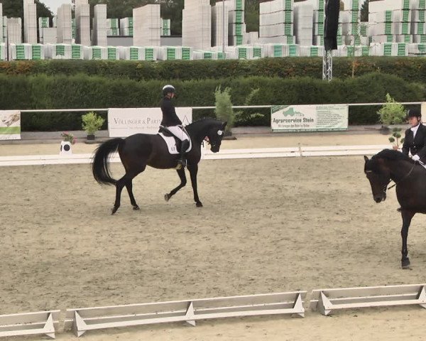 Reitturnier Durmersheim-Hardt 2018