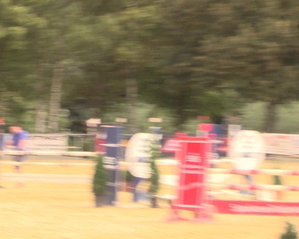 Reitturnier Duderstadt 2018