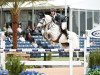 broodmare H5 Caruschka 2 (Oldenburg show jumper, 2004, from Caspar (Berlin))