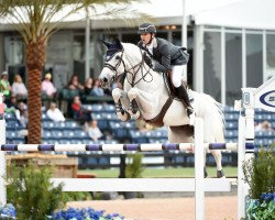 broodmare H5 Caruschka 2 (Oldenburg show jumper, 2004, from Berlin)