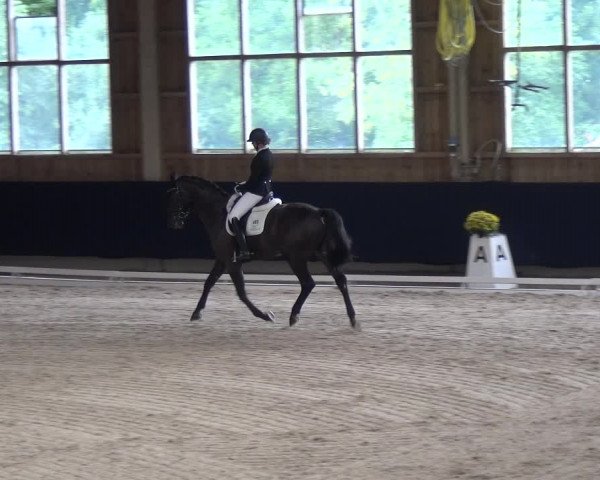 Reitturnier Weilheim/Teck 2018