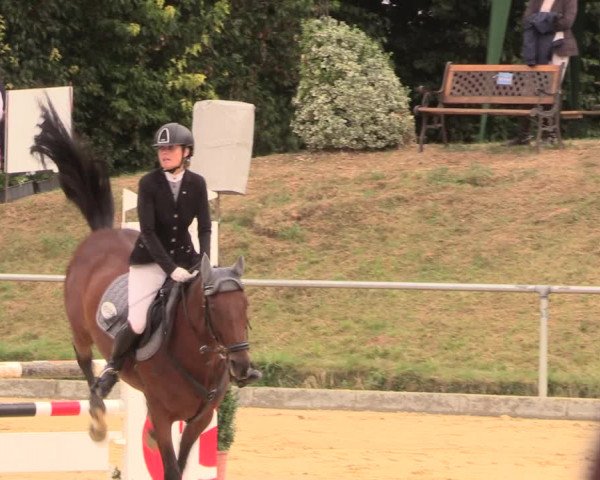 Reitturnier Duderstadt 2018