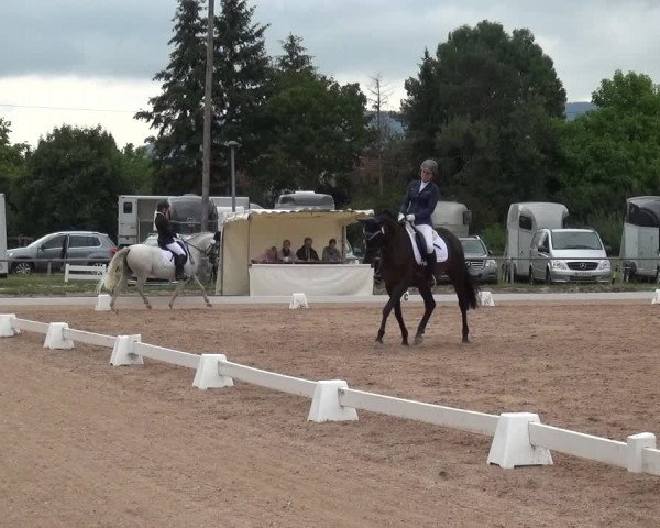 Reitturnier Weilheim/Teck 2018
