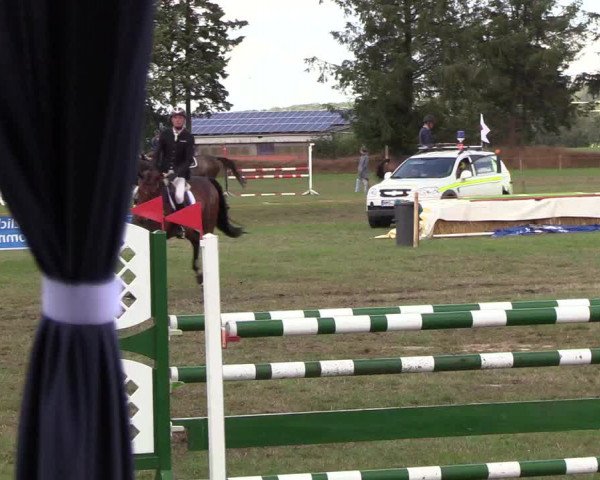 Reitturnier Löwenstedt 2018