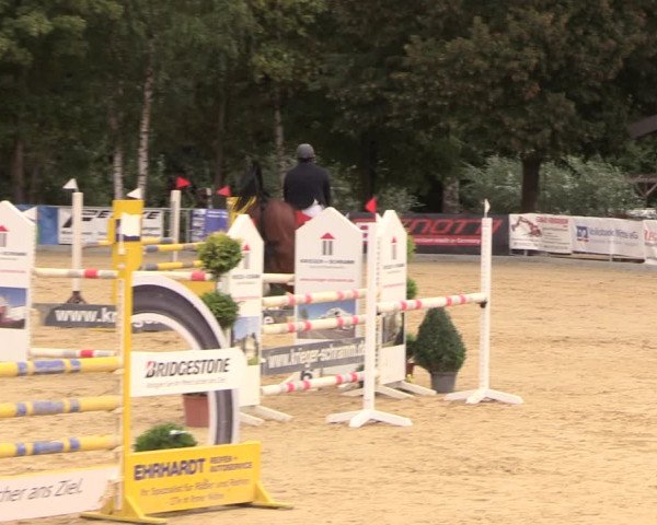 Reitturnier Duderstadt 2018