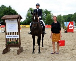 dressage horse Santafee 17 (Westphalian, 2010, from Son of Cologne)