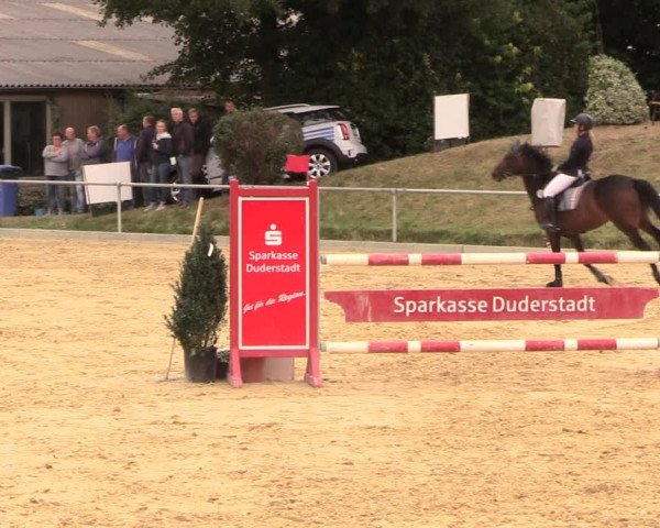 Reitturnier Duderstadt 2018