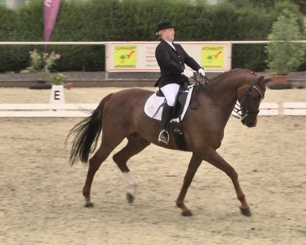 Reitturnier Durmersheim-Hardt 2018