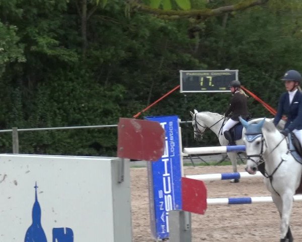 Reitturnier Weilheim/Teck 2018