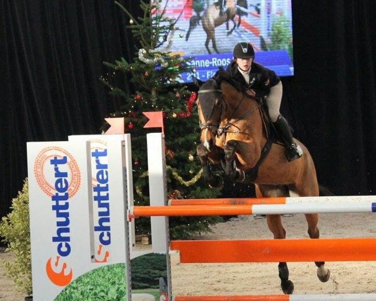 broodmare Flow (KWPN (Royal Dutch Sporthorse), 2010, from Verdi)
