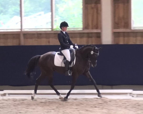 Reitturnier Weilheim/Teck 2018