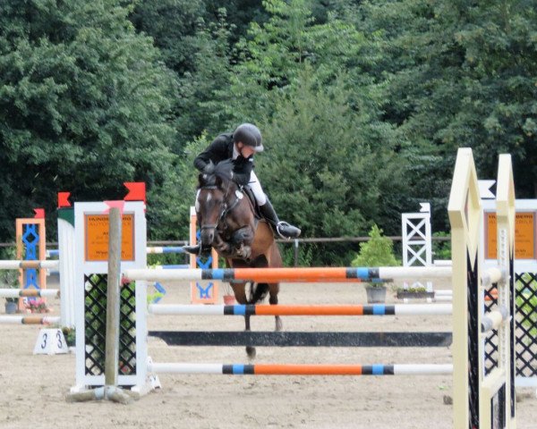 jumper Schorsch Cluny (German Riding Pony, 2004, from FS Pour l'Amour)