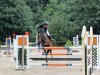 jumper Schorsch Cluny (German Riding Pony, 2004, from FS Pour l'Amour)